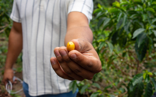 2024 Transparency Report