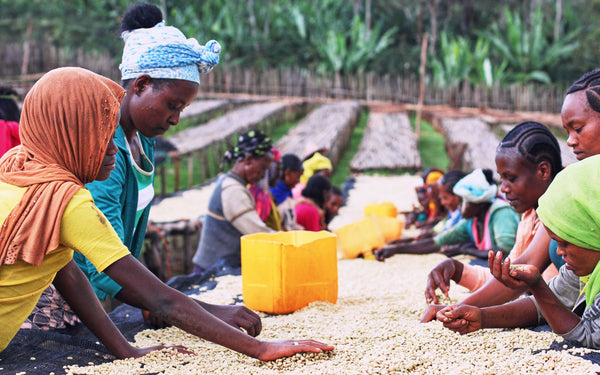 C- Market Volatility