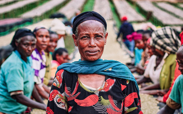 Ethiopia Origin Profile